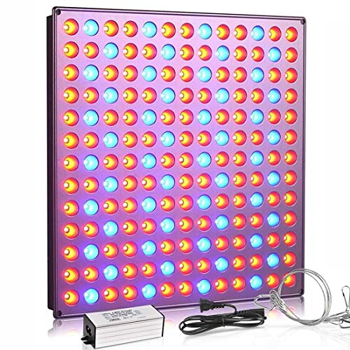 Product Cover Roleadro LED Grow Light, 75W Grow Light for Indoor Plants Full Spectrum Plant Light for Seedling, Hydroponic, Greenhouse, Succulents, Flower