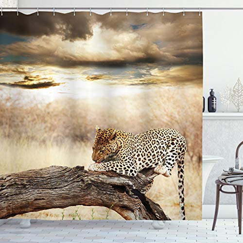 Product Cover Ambesonne Safari Shower Curtain, Leopard Resting Dramatic Cloudy Sky Safari Wild Cats Nature Picture, Cloth Fabric Bathroom Decor Set with Hooks, 70