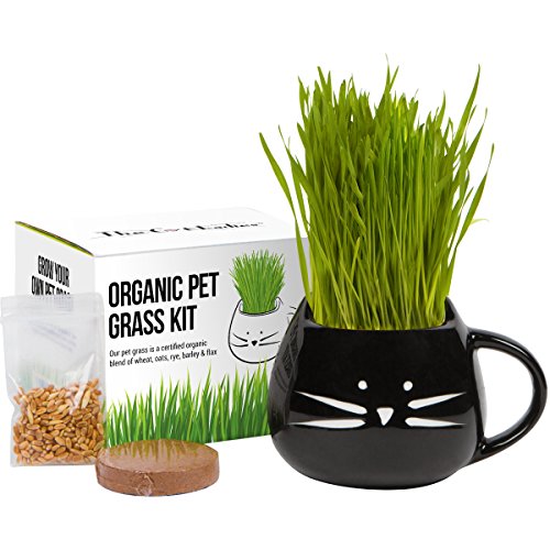 Product Cover Cat Grass Growing Kit with Organic Seed Mix, Organic Soil and Cat Planter. Great Gift Idea for Fur Babies. Natural Hairball Control, Remedy for Cats. Natural Digestive Aid. USA Manufactured.
