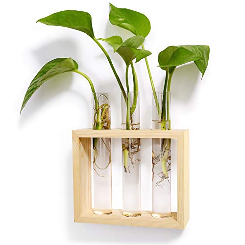Product Cover Mkono Wall Hanging Test Tube Planter Modern Flower Bud Vase with Wood Stand Tabletop Glass Terrarium for Propagating Hydroponics Plants, Home Office Decoration