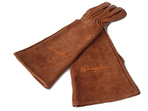 Product Cover Rose Pruning Gloves for Men and Women. Thorn Proof Goatskin Leather Gardening Gloves with Long Cowhide Gauntlet to Protect Your Arms Until The Elbow (Medium, Brown)