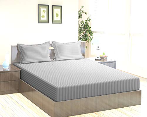 Product Cover Trance Home Linen 100% Cotton 210 TC King Fitted Bedsheet 78