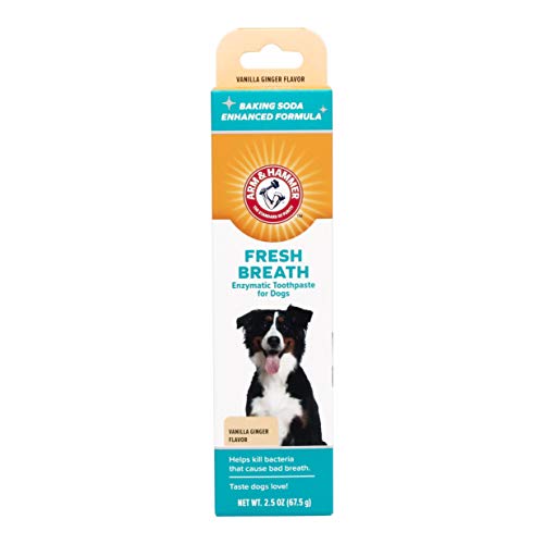 Product Cover Arm & Hammer Dog Dental Care Fresh Breath Enzymatic Toothpaste for Dogs | No More Doggie Breath | Safe for Puppies, Clinical Care, Vanilla Ginger Flavor
