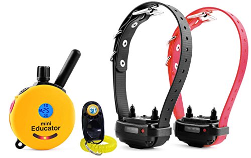 Product Cover Bundle of 2 Items - E-Collar - ET-302 - Half a Mile Remote Waterproof Two Dog Trainer Mini Educator - Static, Vibration and Sound Stimulation Collar With PetsTEK Dog Training Clicker Training Kit
