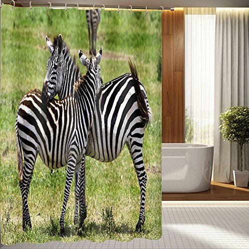 Product Cover ChezMax 3D Zebra Bathroom Curtain Home Fabric Shower Curtain with 12 Hooks 65