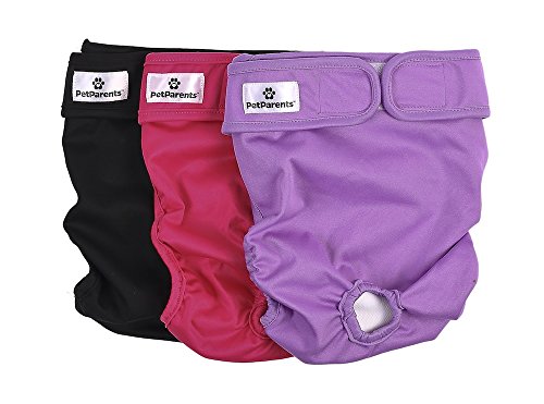Product Cover Pet Parents Washable Dog Diapers (3pack) of Doggie Diapers, Color: Princess, Large Dog Diapers