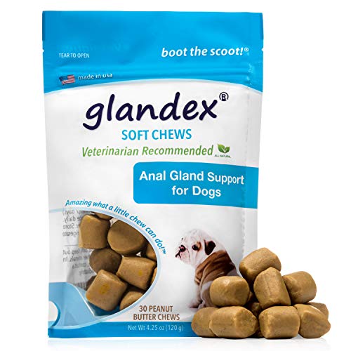 Product Cover Glandex Anal Gland Soft Chew Treats with Pumpkin for Dogs 30ct Peanut Butter Chews with Digestive Enzymes, Probiotics Fiber Supplement for Dogs - Vet Recommended - Boot The Scoot (Peanut Butter)