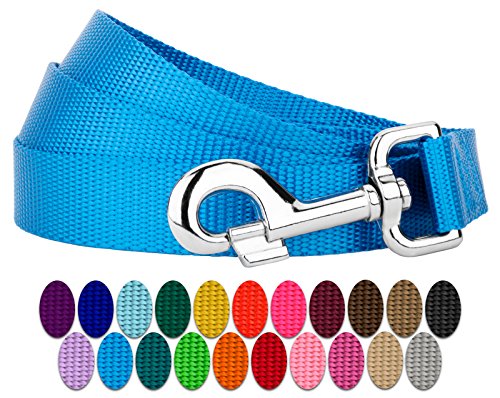 Product Cover Country Brook Petz - Vibrant 25 Color Selection - Nylon Dog Leash (1 Inch Wide, 4 Foot, Ice Blue)