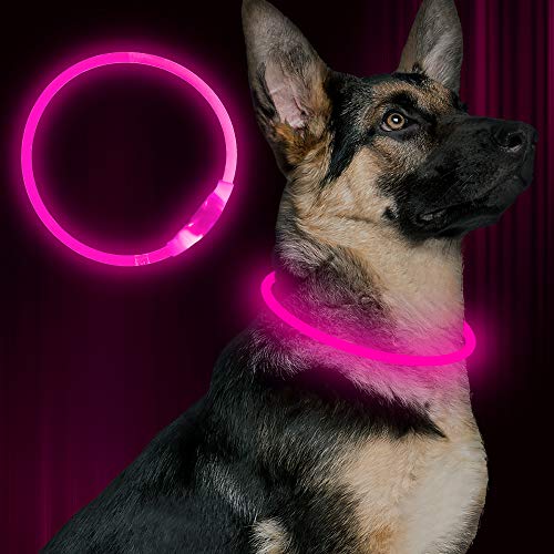 Product Cover BSEEN LED Dog Collar, USB Rechargeable, Glowing pet Dog Collar for Night Safety, Fashion Light up Collar for Small Medium Large Dogs (Pink)