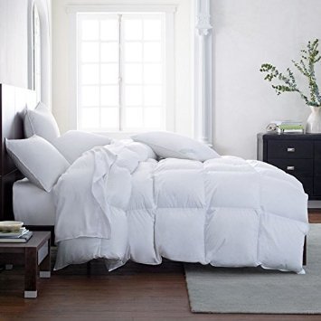 Product Cover Lavish Comforts Hotel Luxury All Season Down Alternative Comforter Duvet Insert with Tabs Hypoallergenic Double Brushed for Superior Softness Washable (King)