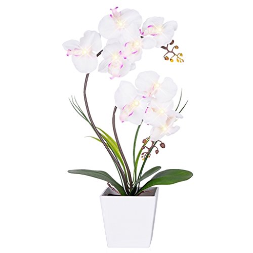 Product Cover Homeseasons LED Lighted Homeseasons LED Lighted Artificial Phalaenopsis Orchid Arrangement with 9 Lights,White