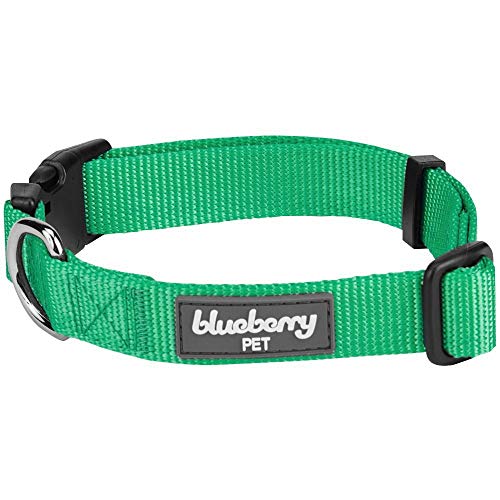 Product Cover Blueberry Pet Essentials 22 Colors Classic Dog Collar, Emerald, Small, Neck 12