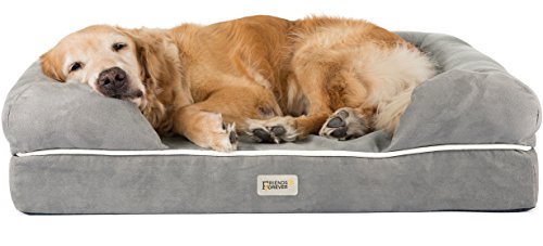 Product Cover Friends Forever Memory Foam Orthopedic Dog Bed for Large Dogs - 100% Suede Washable Cover 4
