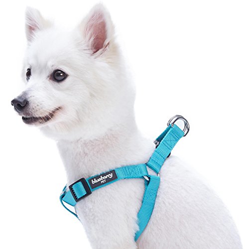 Product Cover Blueberry Pet 19 Colors Step-in Classic Dog Harness, Chest Girth 26