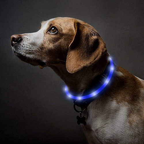 Product Cover BSEEN LED Dog Collar, USB Rechargeable Light Up Pet Safety Collar with 3 Glowing Modes, Flexible Silicone Dog Collar for Night Dog Walking (Blue)