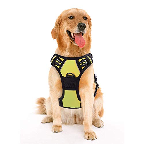 Product Cover Rabbitgoo  Dog Harness No-Pull Pet Harness Adjustable Outdoor Pet Vest 3M Reflective Oxford Material Vest for Dogs Easy Control for Small Medium Large Dogs (Green, S)