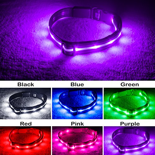 Product Cover Blazin' Safety LED Dog Collar - USB Rechargeable with Water Resistant Flashing Light - Small Purple