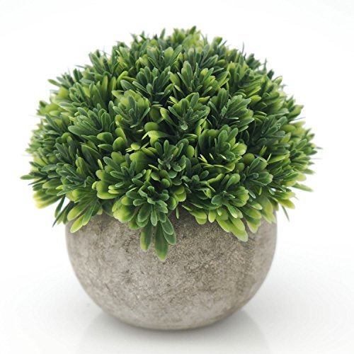 Product Cover velener Mini Plastic Plants Fake Melaleuca Grass with Pots for Home Decor (Green)