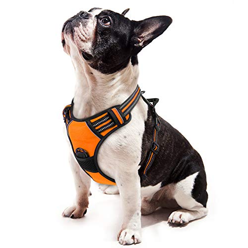 Product Cover RABBITGOO  Dog Harness No-Pull Pet Harness Adjustable Outdoor Pet Vest 3M Reflective Oxford Material Vest for Dogs Easy Control for Small Medium Large Dogs (Orange, S)