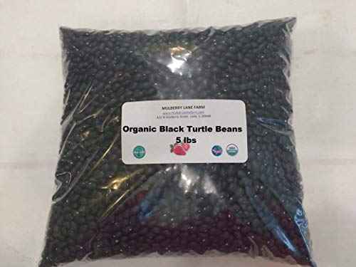 Product Cover Black Turtle Beans 5 Pounds USDA Certified Organic, Non-GMO Bulk