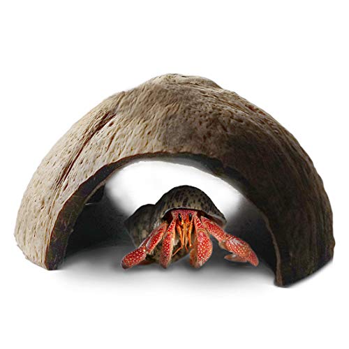 Product Cover Eco-friendly Hermit Crab hut -- Pet-safe arthropod's hideout - Natural, spacious Coco tunnel - Maximum Privacy, Ideal breeding ground - Encourages physical activity - Use as hermit cave or climber