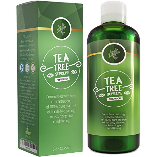 Product Cover Sulfate Free Tea Tree Shampoo Dandruff Treatment for Women & Men with Pure Rosemary + Jojoba Oils - Healthy Scalp Cleanser for Colored Dry + Oily + Thick + Fine Natural Hair Care for Silky Soft Hair