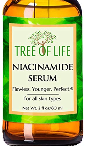 Product Cover Niacinamide B3 Face Moisturizer Serum, Double Size