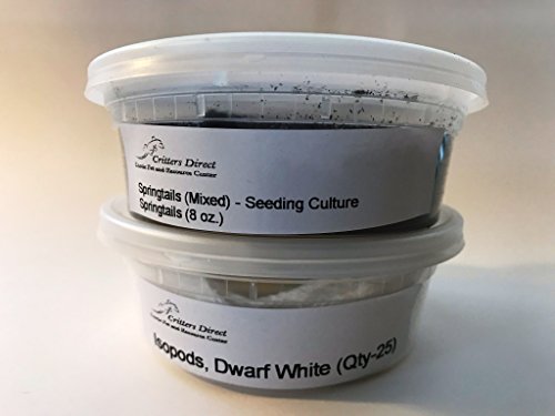 Product Cover Critters Direct Springtails + Isopods Combo Package (Mixed Springs + Dwarf White Isopods)