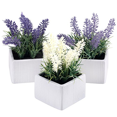 Product Cover MyGift Set of 3 Assorted Color Artificial Lavender Flower Plants in White Textured Ceramic Pots