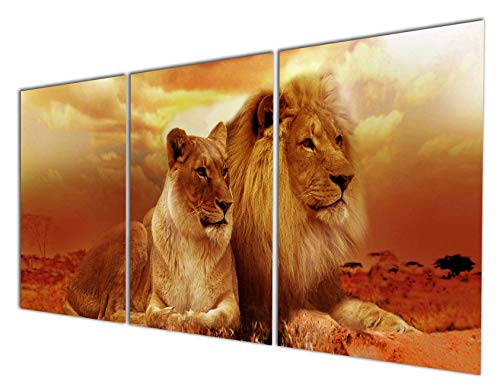 Product Cover Gardenia Art Animal World Series Wild Lioness and Lion Canvas Prints Modern Wall Art Paintings Animals Artwork for Room Decoration,12x16 inch Per Piece, Stretched and Framed