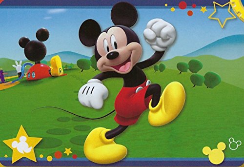 Product Cover Large Disney Rug in a Bag 54