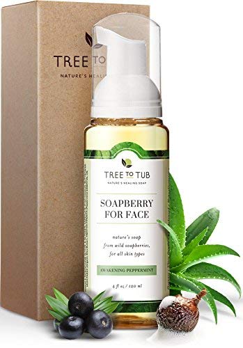 Product Cover Gentle, Acne Face Wash for Oily Skin by Tree To Tub - pH 5.5 Balanced Refreshing Peppermint Foaming Cleanser for Sensitive Skin. Women and Mens Face Wash from Wild Soapberries, Organic Aloe Vera 4 oz