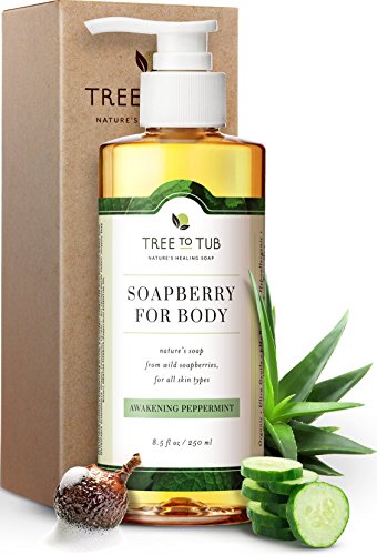 Product Cover Clarifying Peppermint Body Wash by Tree to Tub - pH 5.5 Balanced Body Wash with Wild Soapberries, for Sensitive, Oily or Acne Prone Skin. Vegan and Cruelty Free 8.5 oz