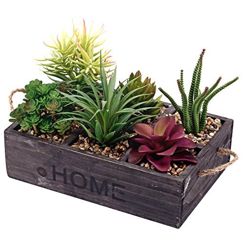 Product Cover Potted Artificial Succulent Plants in Rustic Wooden 'Home' Planter Box with Rope Handles