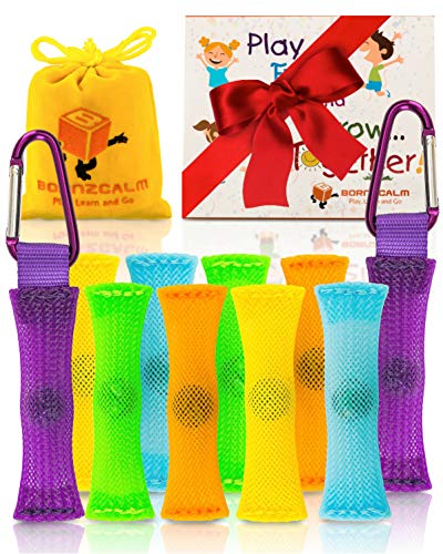 Product Cover Born2Calm ADHD Fidget Toys Stress and Anxiety Relief - Pack of 10 Silent Sensory Fidgets for Classroom as Figits Sensory Toys for Kids with Carrying Pouch, 2 Carabiners and Bonus Paperback Story