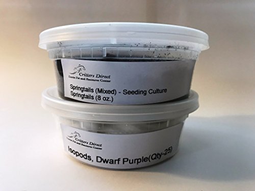 Product Cover Critters Direct Springtails + Isopods Combo Package (Mixed Springs + Purple Micropods)