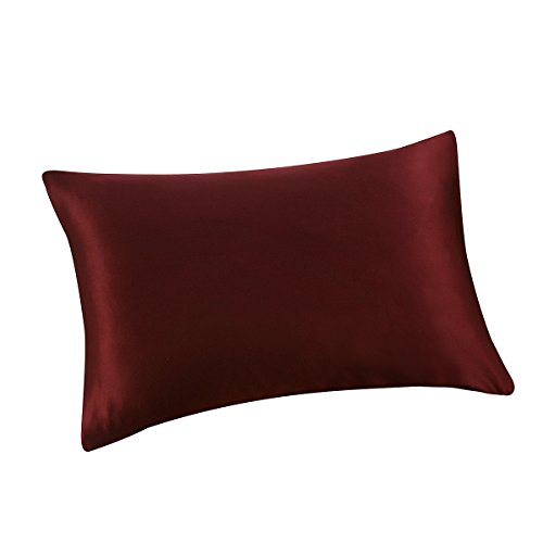 Product Cover ALASKA BEAR - Natural Silk Pillowcase, Hypoallergenic, 19 Momme, 600 Thread Count 100 Percent Mulberry Silk, Standard Size with Hidden Zipper(1, Burgundy red)