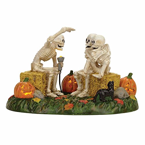 Product Cover Department 56 Village Halloween Scary Skeleton Stories Accessory Figurine