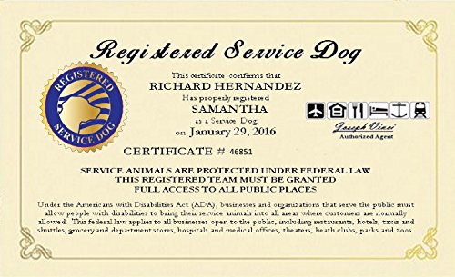 Product Cover Registered Service Dog Certificate - Customized with your name, your dogs name and certification number and date. Free duplicate copy and registration into our national registry of Service Dogs