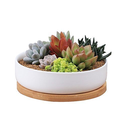 Product Cover 6 Inch Modern White Ceramic Round Succulent Cactus Planter Pot with Drainage Bamboo Tray,Decorative Garden Flower Holder Bowl