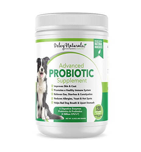 Product Cover Probiotics for Dogs - 4 Billion CFU's, Digestive Enzymes, Prebiotics - Dog Allergies, Diarrhea, Bad Dog Breath, Constipation, Gas, Yeast, Hot Spots - Made in USA, Chicken - 120 Grain Free Soft Chews