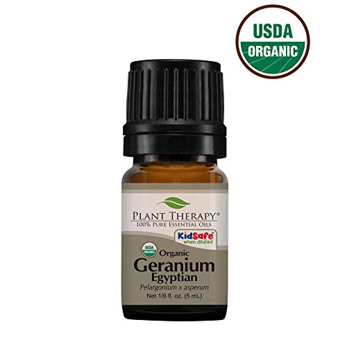 Product Cover Plant Therapy Geranium Egyptian Organic Essential Oil 100% Pure, USDA Certified Organic, Undiluted, Natural Aromatherapy, Therapeutic Grade 5 mL (1/6 oz)