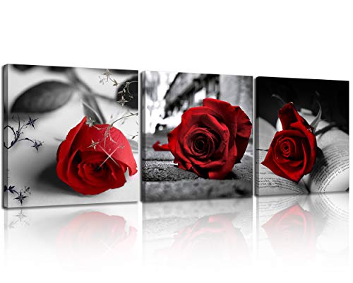 Product Cover NAN Wind Canvas Print 3 Pcs Black and White Red Rose Canvas Art Painting Abstract Wall Art Decorations Flower Picture on Canvas for Home Decor Valentines Gift Stretched and Framed 12X12inches