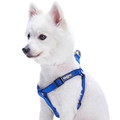Product Cover Blueberry Pet Essentials 19 Colors Step-in Classic Dog Harness, Chest Girth 16.5