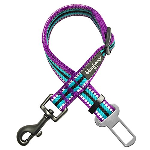 Product Cover Blueberry Pet 8 Colors 3M Reflective Multi-Colored Stripe Adjustable Dog Seat Belt Tether for Dogs Cats, Violet and Celeste, Durable Safety Car Vehicle Seatbelts Leads Use with Harness