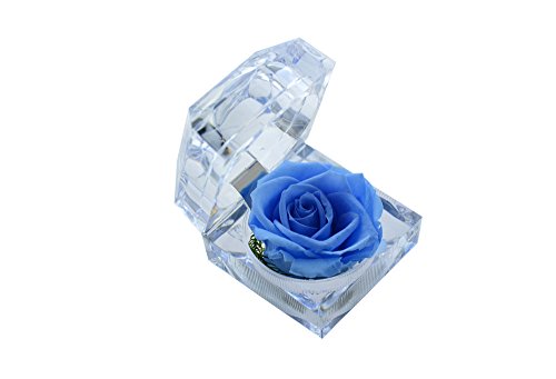 Product Cover DeFancy Handmade Preserved Rose with Acrylic Crystal Ring Box for Proposal Engagement (Sky Blue)