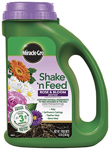 Product Cover Miracle-Gro Plant Food 3002210 Shake 'N Feed Rose and Bloom Continuous Release Pl, 4.5 LB