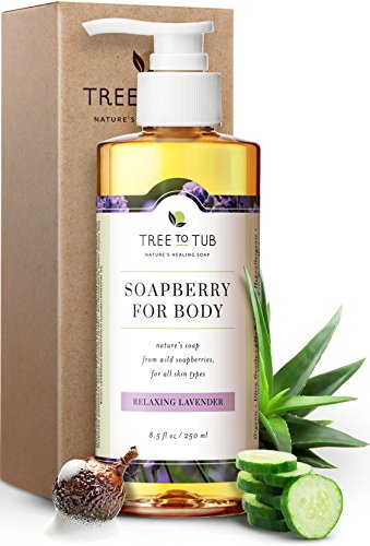 Product Cover Gentle, Moisturizing Body Wash for Dry Skin by Tree To Tub - 5.5 pH Balanced Body Wash for Sensitive Skin. Pure Lavender Soap for All Ages with Wild Soapberries, Organic Shea Butter, Aloe Vera 8.5 oz