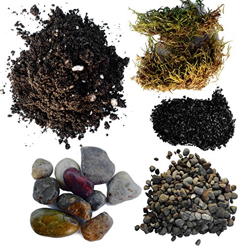 Product Cover Succulent Planter Soil Kit - Total DIY Terrarium Supplies -Terrarium Kit for Succulent or Catcus - Create Your own Terrarium with These Supplies - Great for Fairy Gardens (Small)