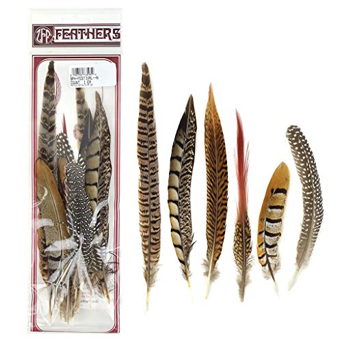 Product Cover ZUCKER BPH-Festival-N Natural Pheasant Feathers 12PCS, 6-12', Brown, 12 Piece